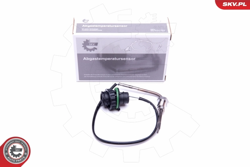 Sensor, exhaust gas temperature